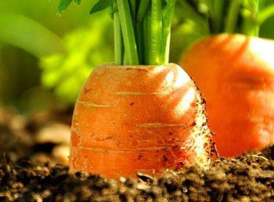 氮磷鉀檢測儀哪個好，為啥選山東云唐？