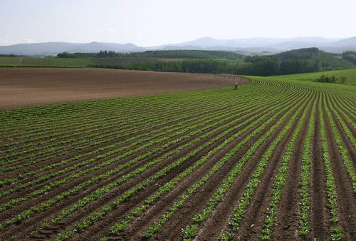 為什么我們要實行測土配方施肥？