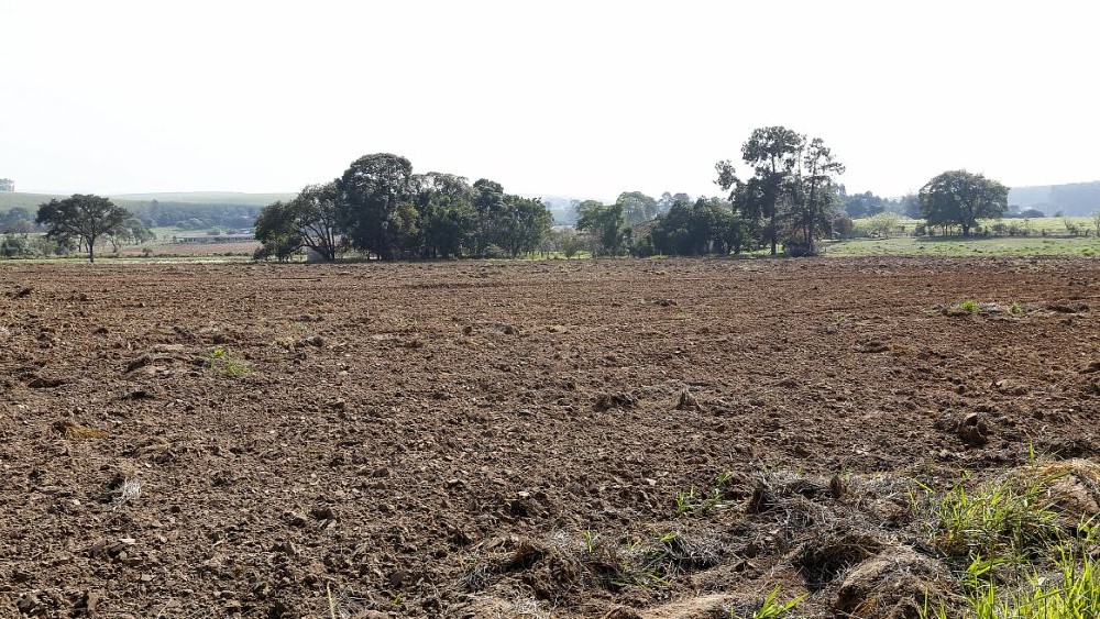 為什么要準確進行測土配方施肥？