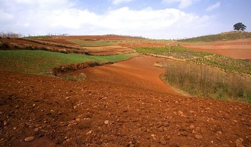 土壤肥料養(yǎng)分速測(cè)儀如何選擇？