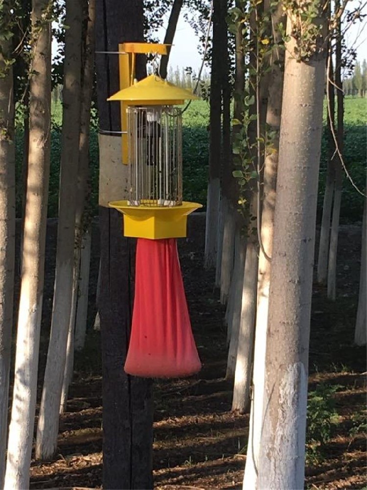 如何選擇太陽(yáng)能殺蟲燈？