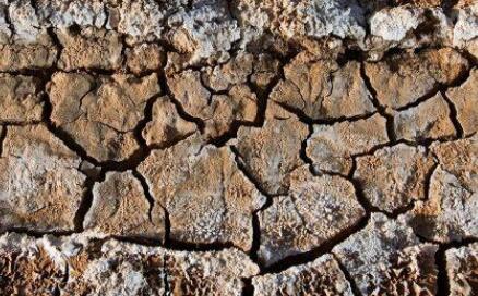 土壤養(yǎng)分檢測儀解決“土壤的鹽堿化”問題！