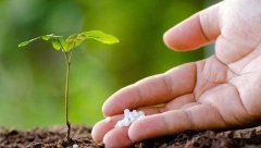 測土配方施肥儀助力農(nóng)業(yè)數(shù)字化發(fā)展