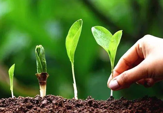 土壤養(yǎng)分檢測(cè)儀