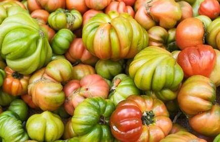 肥料養(yǎng)分檢測儀 肥料養(yǎng)分檢測儀