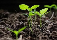 肥料養(yǎng)分檢測(cè)儀改良土壤理化性質(zhì)