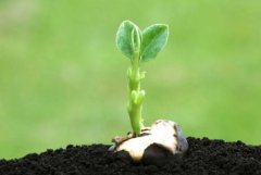 測土儀器促進(jìn)可持續(xù)農(nóng)業(yè)發(fā)展