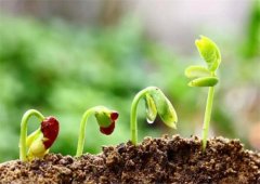 土壤養(yǎng)分檢測(cè)儀的實(shí)用意義和作用是什么？